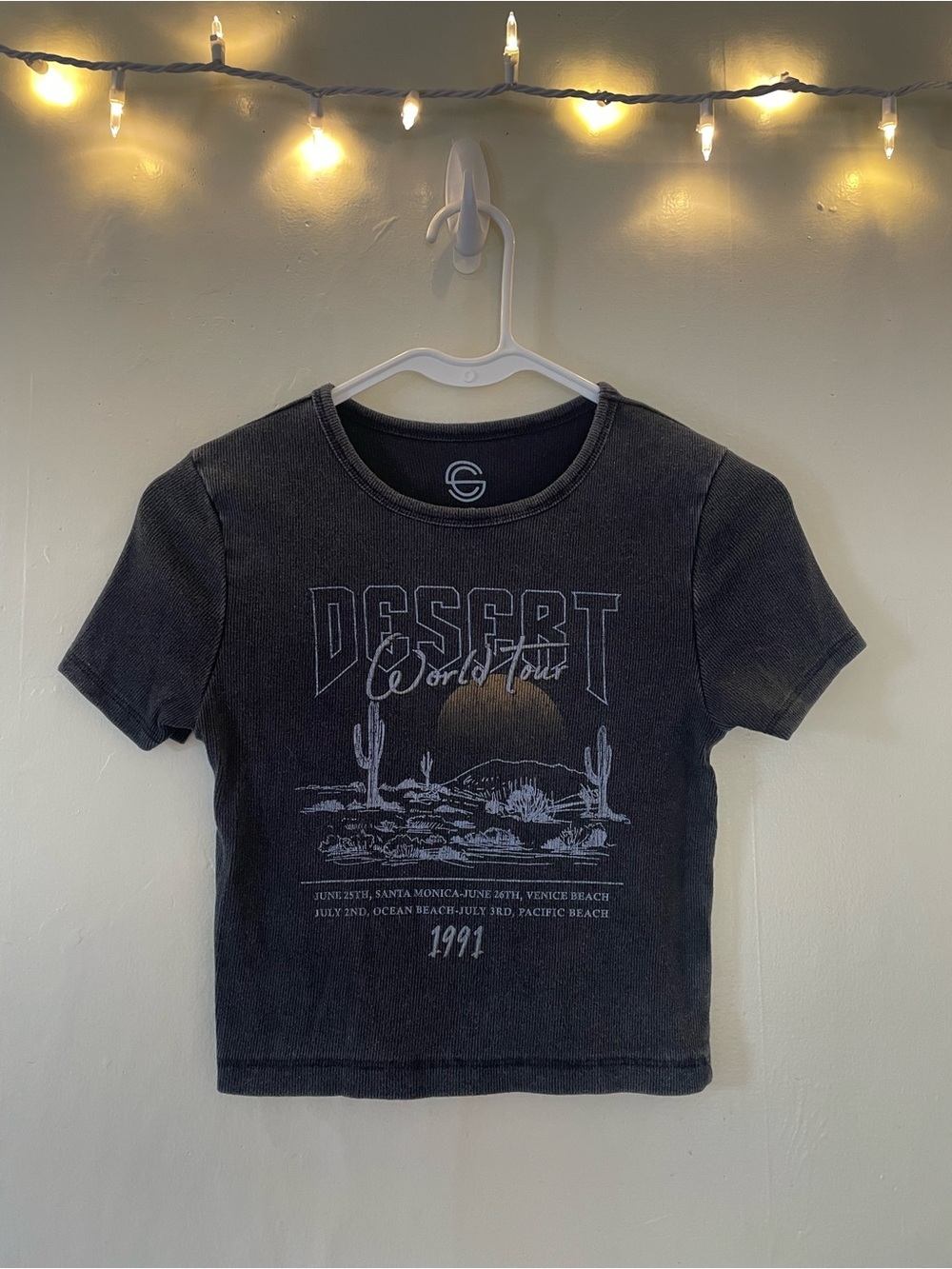 Vintage-Inspired Gray Desert Graphic Crop Top 100% Cotton Skate Casual Y2K NWOT